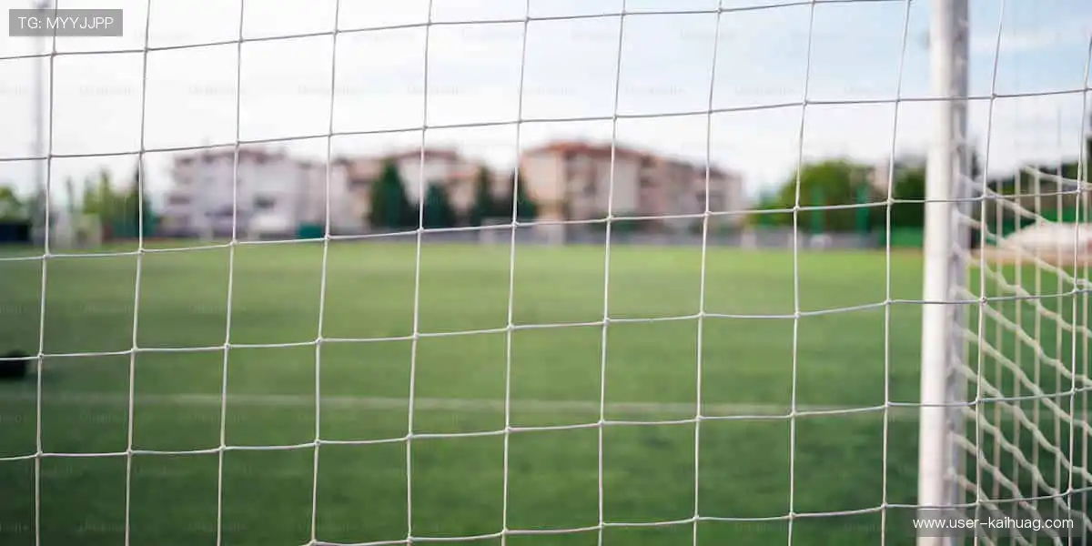 体育游戏全能平台：官方正版安全稳定，玩得放心更尽兴